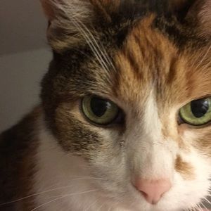 Meet your Posher, Dixanna